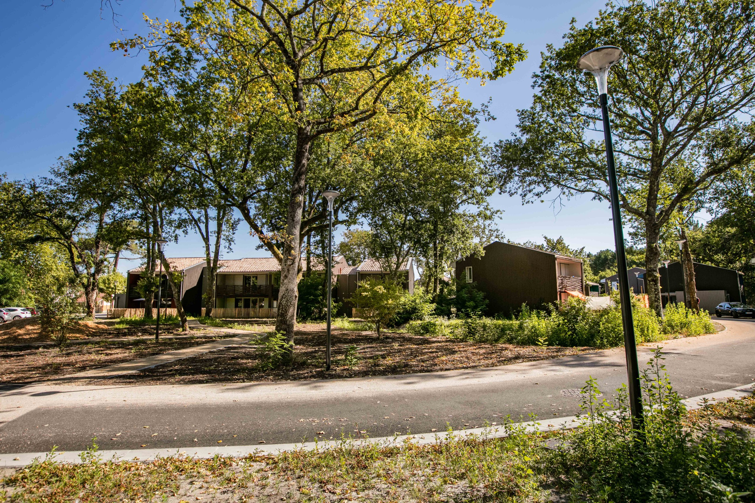 Vue quartier forêt