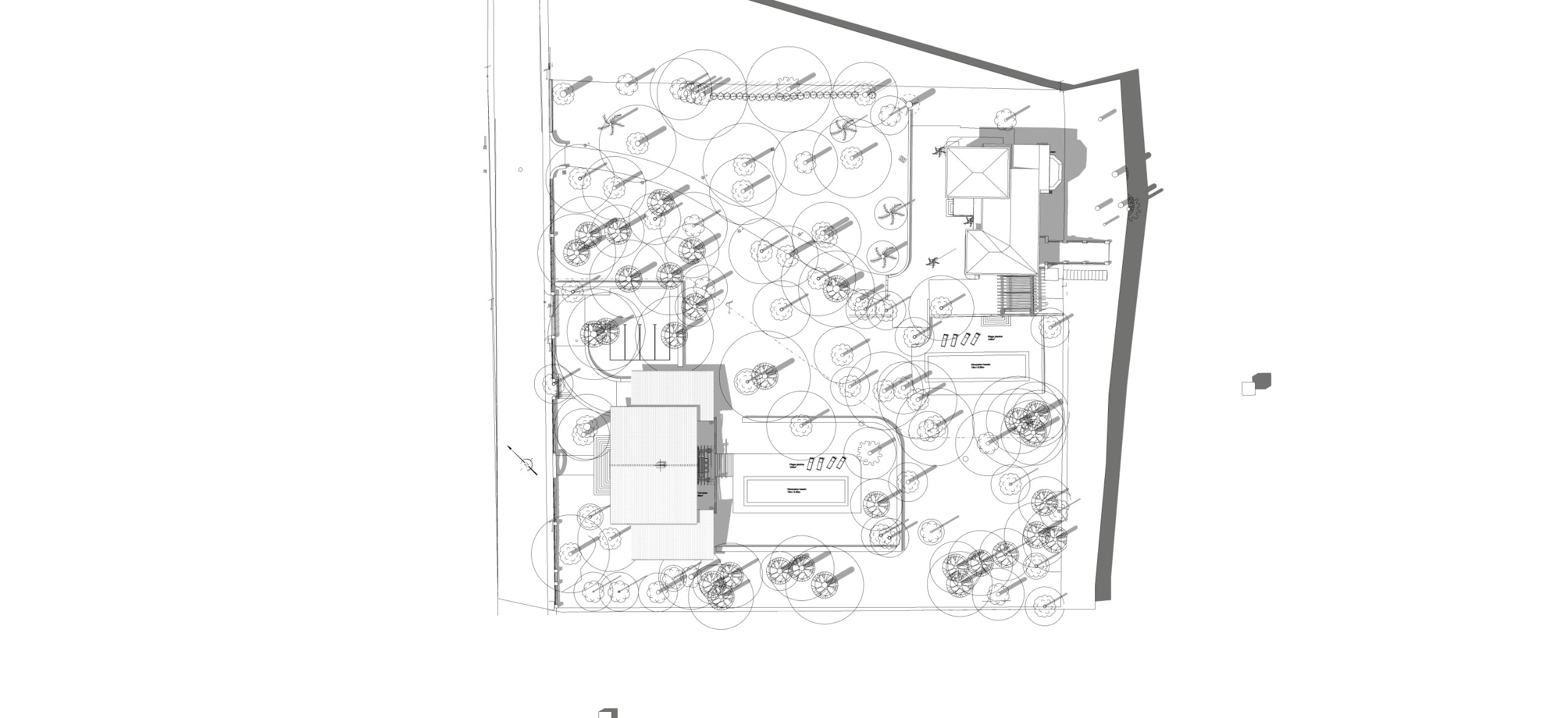 plan de masse 